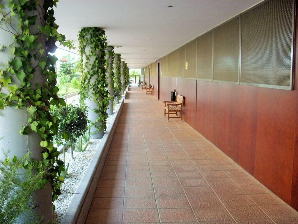 Goleta Almeria Apartment Exterior photo